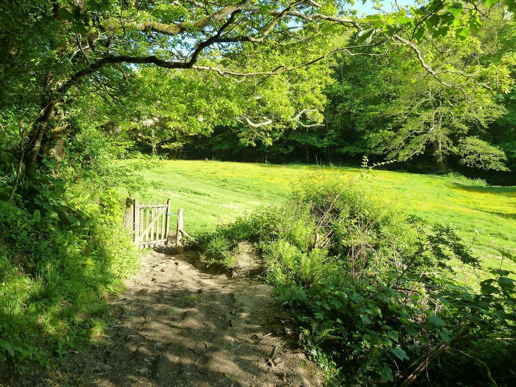 A dirt path leading through a lush green field with a wooden gate.