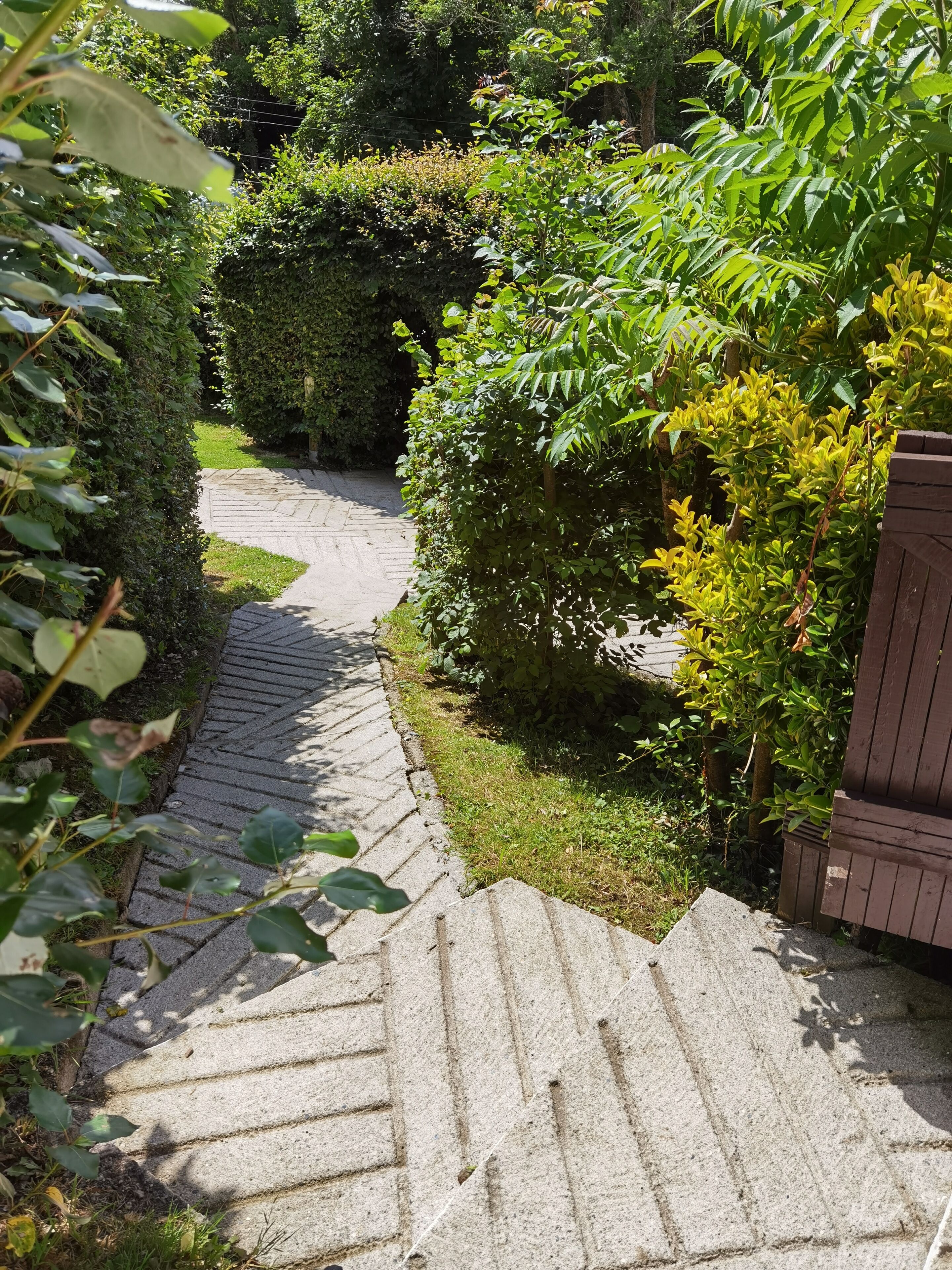 A stone pathway leading through a garden with neatly trimmed hedges and a wooden fence.