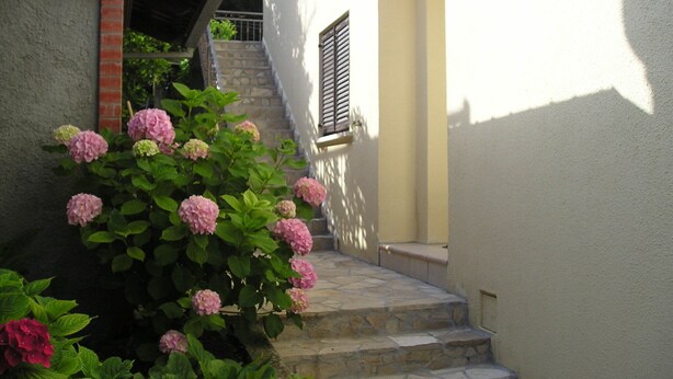 Una escalera de piedra que sube hacia una puerta con ventana, rodeada de abundante follaje y flores rosadas.
