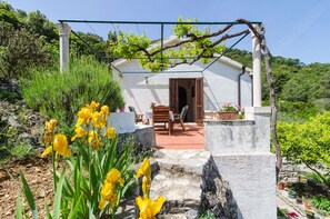 Standard Apartment, 1 Bedroom, Terrace