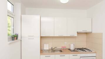 Standard Apartment, 2 Bedrooms, Balcony | Private kitchen
