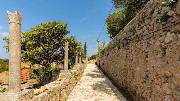 Un chemin de pierre bordé d’un mur de pierre et d’une allée d’arbres.