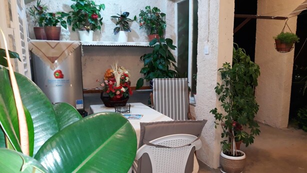 Un pequeño patio con mesa y sillas, rodeado de plantas verdes grandes y macetas en estanterías.