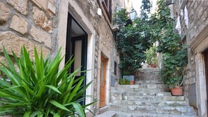 A narrow stone staircase leading up to a building entrance, surrounded by greenery and potted plants. - Studio Inn (Dubrovnik)
