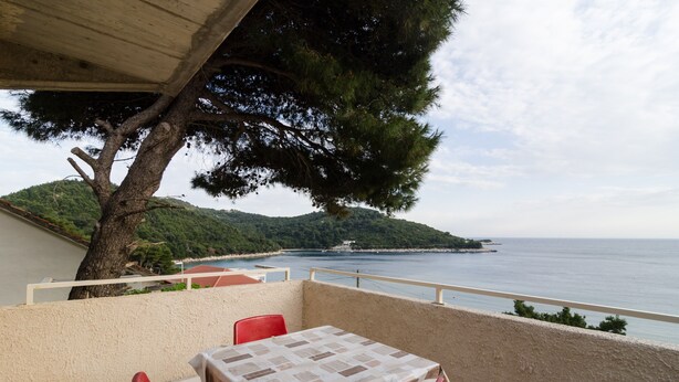 A terrace with a table and chairs, overlooking a coastal area with a tree and a view of the sea. - Apartments Feral (Mljet)