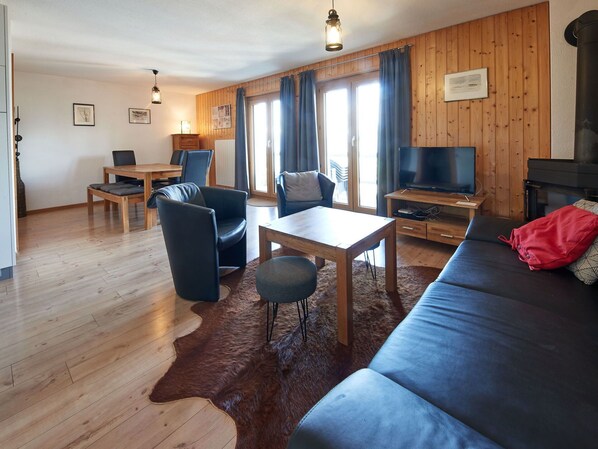 Télévision, cheminée, lecteur de DVD