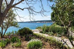 Stroll through the serene garden, featuring a variety of plants and flowers, along a paved pathway.