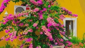 A vibrant yellow building with a large flowering tree in front. - Rooms Mozara (Dubrovnik)