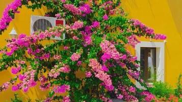 Perincian bahagian luar