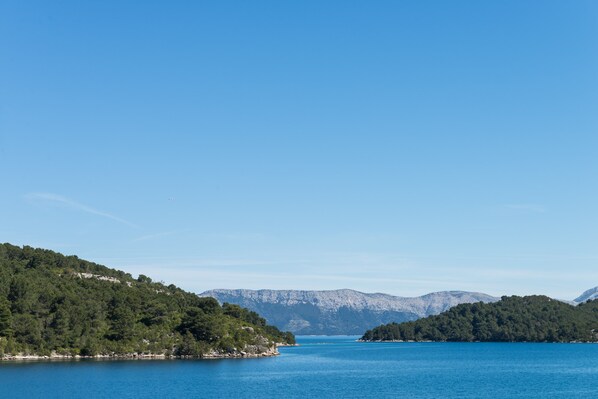 Un paisaje costero con una vista despejada de una extensa masa de agua, rodeado de colinas y montañas boscosas.