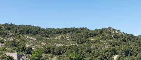 A coastal area with a historic stone building near the water, surrounded by dense green hills.