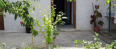 1 habitación y ropa de cama