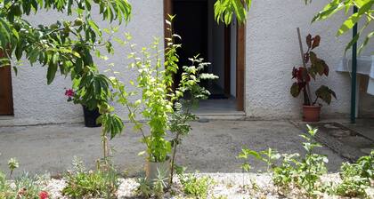 Apartments Limuni