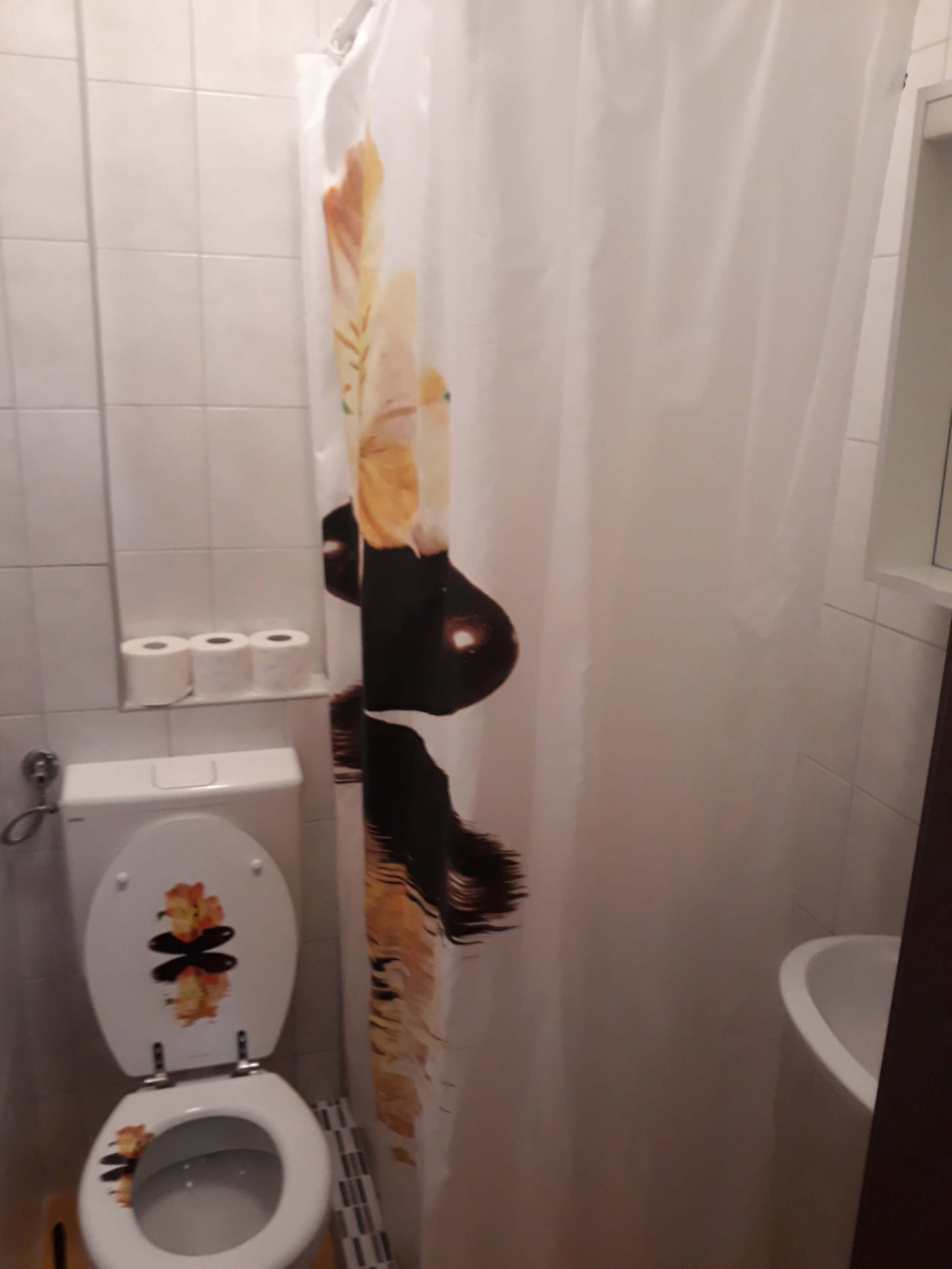 Une salle de bain équipée de toilettes, de papier toilette et d’un rideau de douche à motifs floraux.
