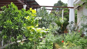 A lush garden with various plants and a pergola structure. - Guest House Matana Pomena (Mljet)