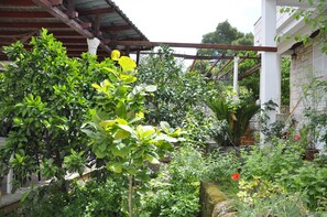 Garden - Guest House Matana Pomena (Mljet)