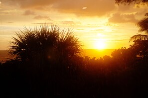 Unclassified image, 5 of 16, button