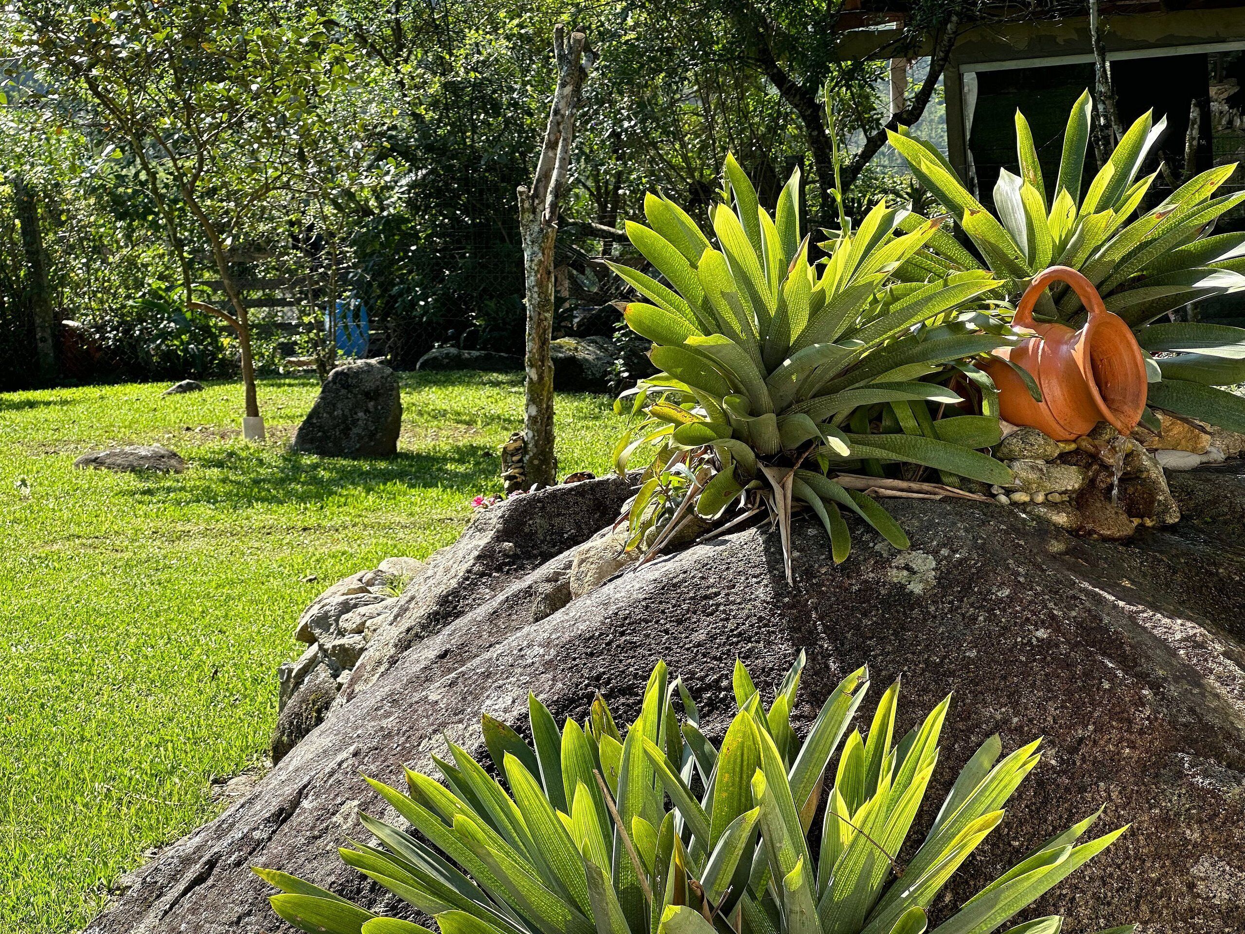 Premium-Ferienhaus | Blick auf den Garten