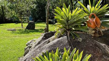 Premium-Ferienhaus | Blick auf den Garten