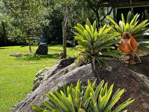 Cottage Premium | Pemandangan taman