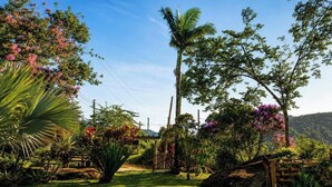 A lush garden with a variety of plants and trees, a wooden fence, and a clear sky. - Sítio Morada do Pai com Sinuca e Piscina - Canelinha - SC (Canelinha)