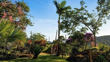 Premium Cottage | Property grounds