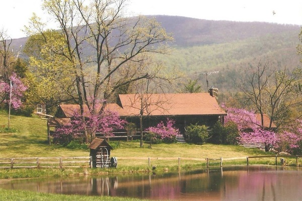 Àrea exterior de l'allotjament