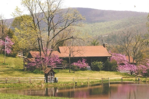 Cozy Elkton Cabin near Shenandoah 25 min