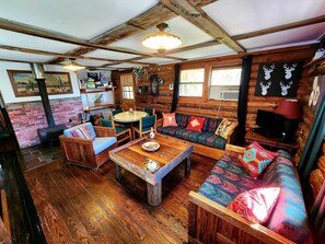 Fireplace, DVD player, books