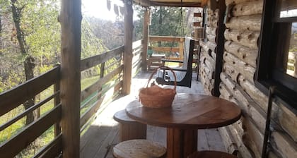 Eagle Log Cabin at Mountaintop Ranch bordering Shenandoah National Park