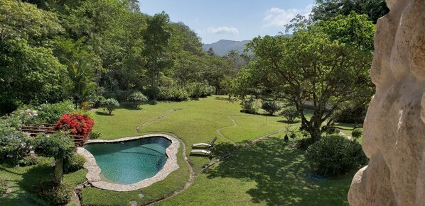 A lush garden with a swimming pool, surrounded by trees and a mountain in the background.