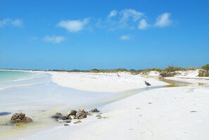 Beach nearby, sun loungers