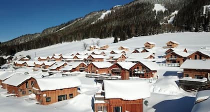 Superior #61 IR-Sauna by Interhome