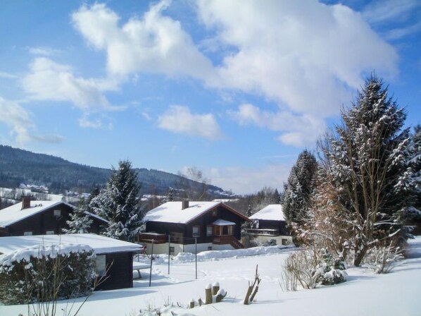 A snow-covered residential area with houses, trees, and a clear sky.