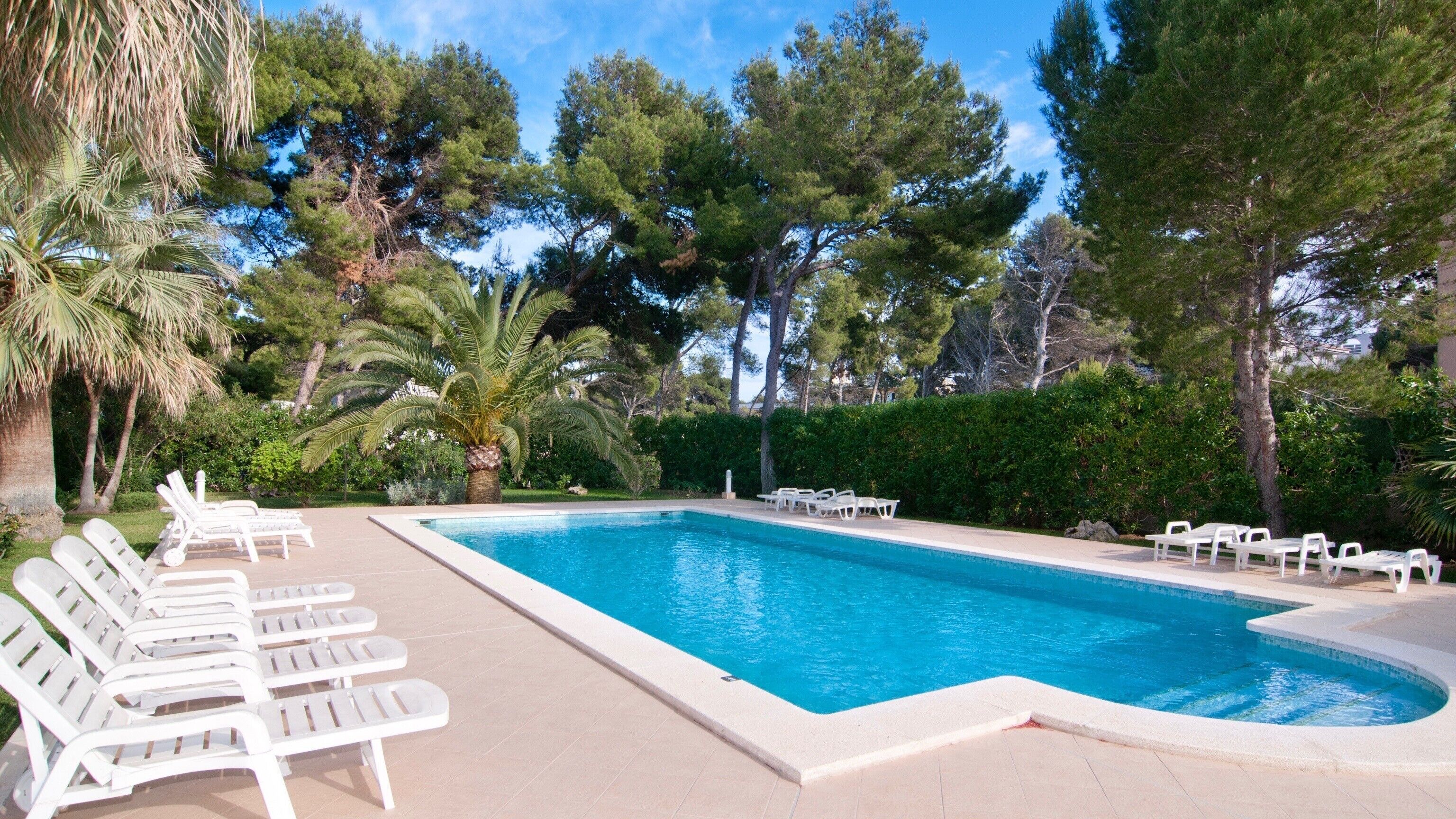 Una piscina rectangular con sillas de descanso blancas dispuestas a su alrededor, rodeada de árboles y follaje.