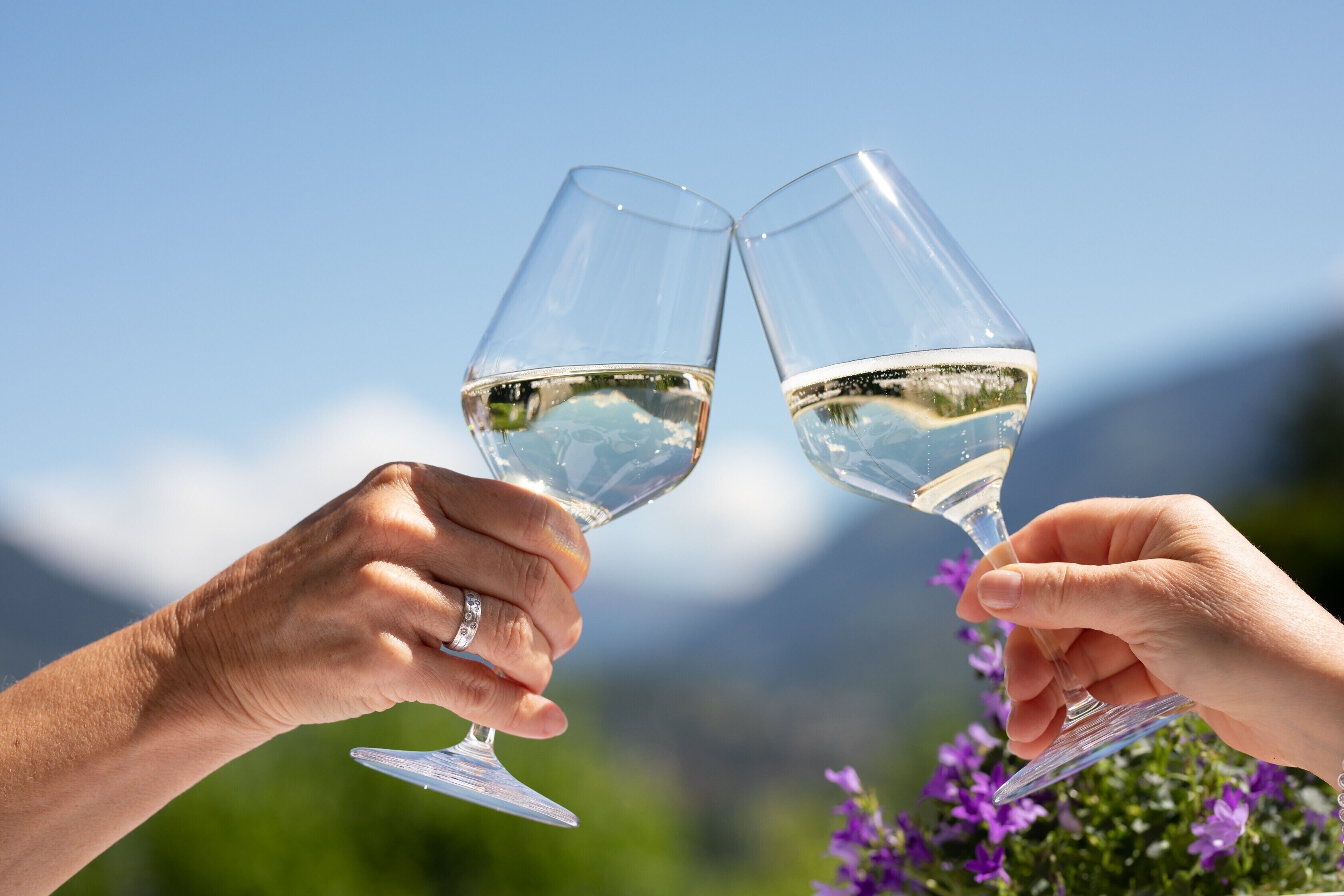 Dos manos sosteniendo copas de vino con un líquido transparente, frente a un paisaje natural con montañas y vegetación.