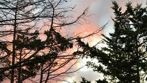 Auringonlaskunäkymä, jossa on puita ja puinen aita.