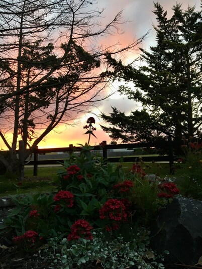 Gowrie Guest House - Where hospitality meets the sea!