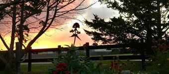 Gowrie Guest House - Where hospitality meets the sea!