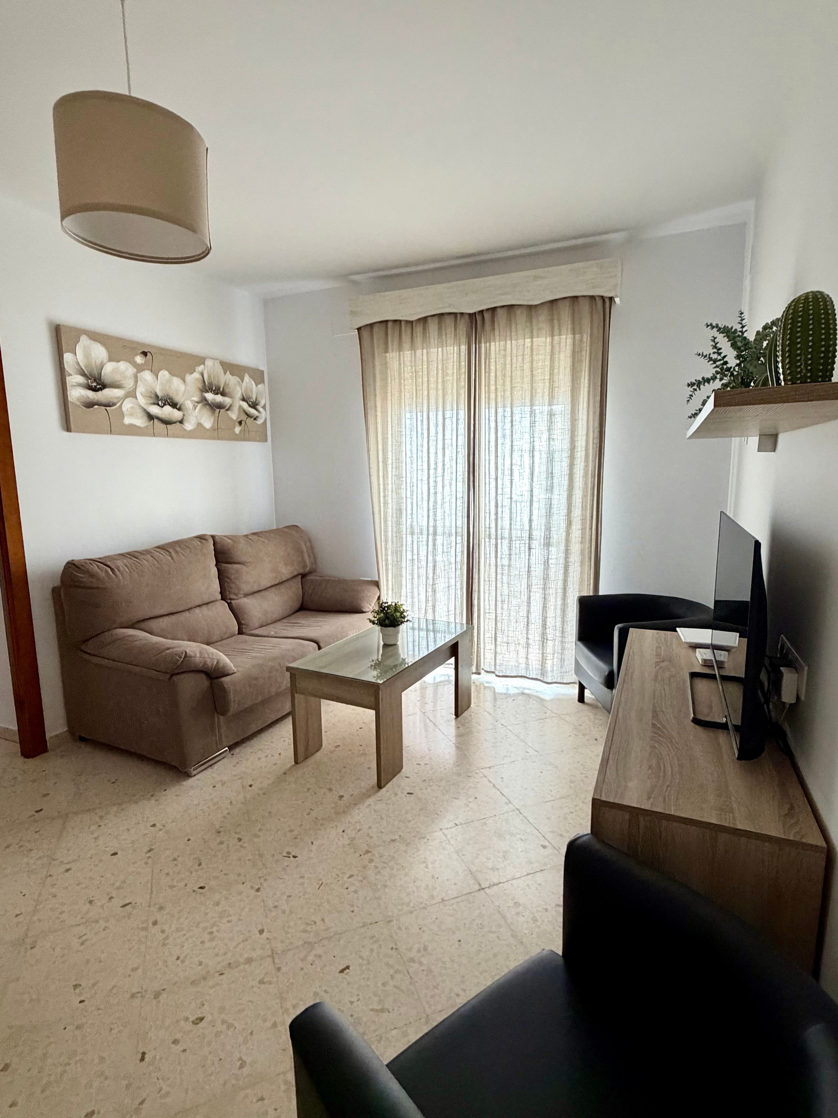 Una sala de estar con un sofá, una mesa de centro, un televisor y un cactus en una estantería.