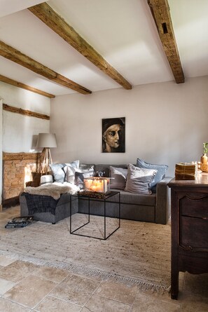 Smart TV, fireplace, books