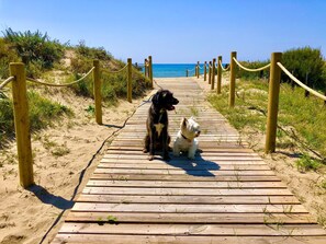 A wooden boardwalk leading to a beach with two dogs sitting on it.