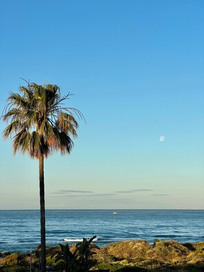 Accommodatie ligt op het strand, ligstoelen, strandlakens