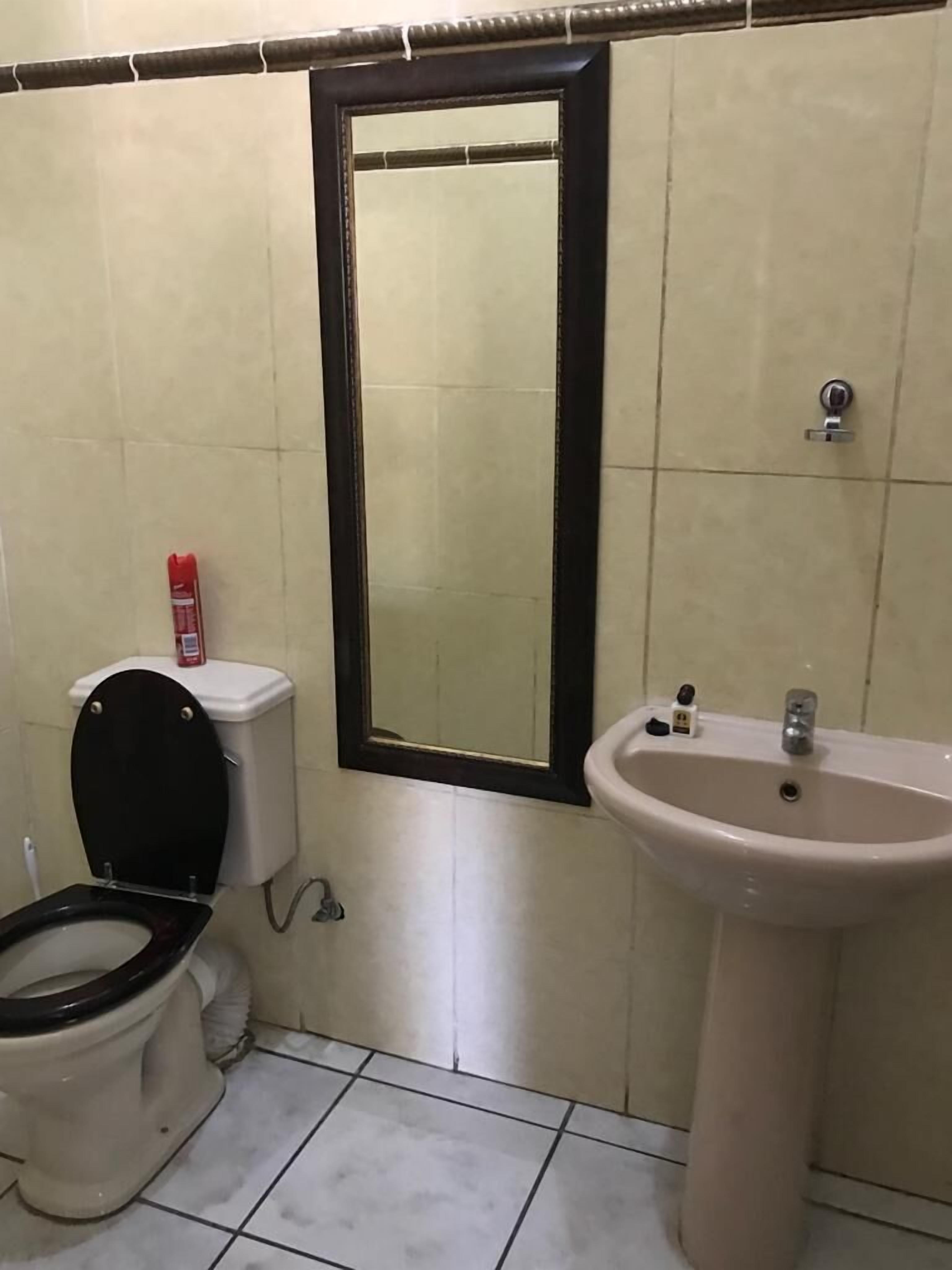 A bathroom with a toilet, sink, and mirror.