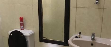 A bathroom with a toilet, sink, and mirror.