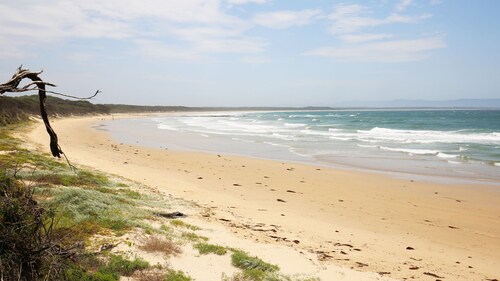 Pesä - Lemmikkiystävällinen - 2 minuutin kävelymatka rannalle