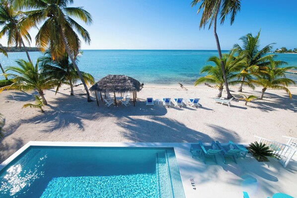 Unclassified image, 1 of 38, button