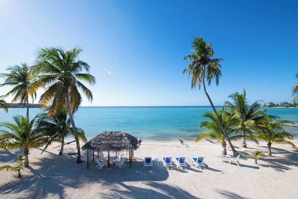 A beach with palm trees, a thatched hut, and white lounge chairs.