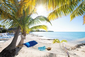 Unclassified image, 2 of 38, button