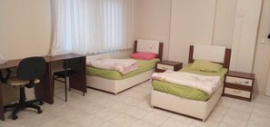 Classic Double or Twin Room | Desk, laptop workspace, iron/ironing board, free WiFi - Arda Pansiyon - Hostel (Çanakkale)